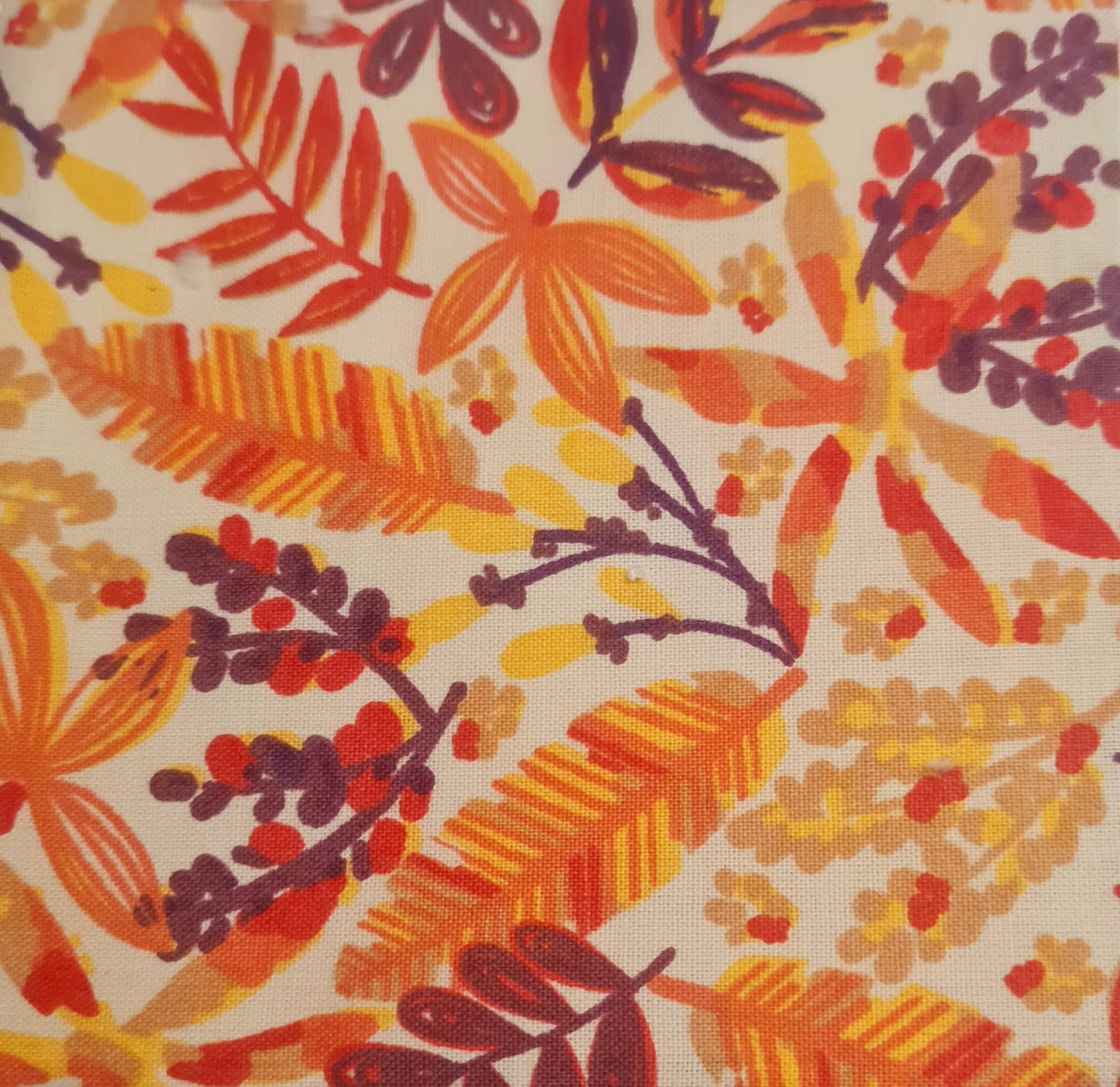 Coffret Bourse + lingettes